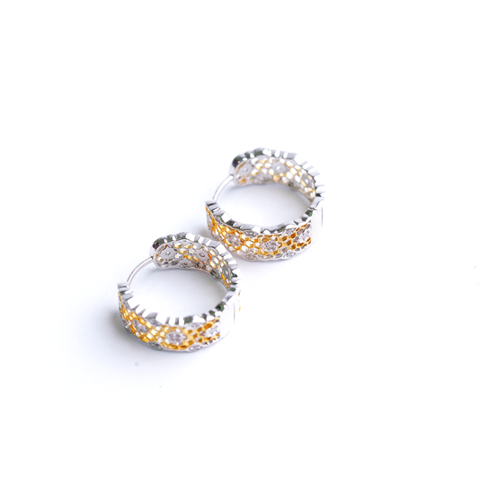 The Aurelia Lattice Hoops