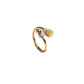 The Geometric Pivot Ring