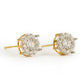 Starburst Marquise Bloom Earrings